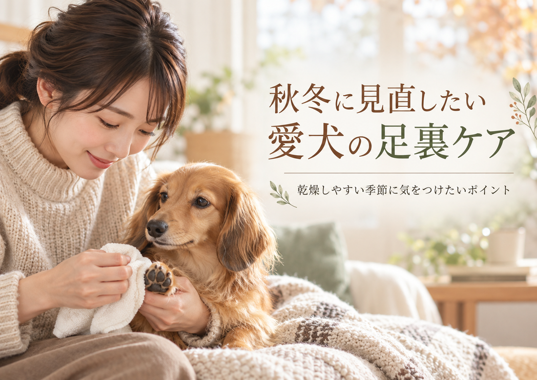 犬が足を舐めるのはなぜ？