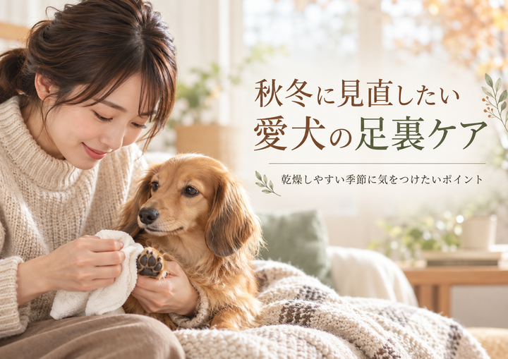 犬が足を舐めるのはなぜ？