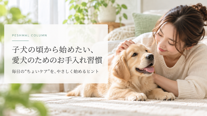 子犬の頃から始めたい、愛犬のためのお手入れ習慣
